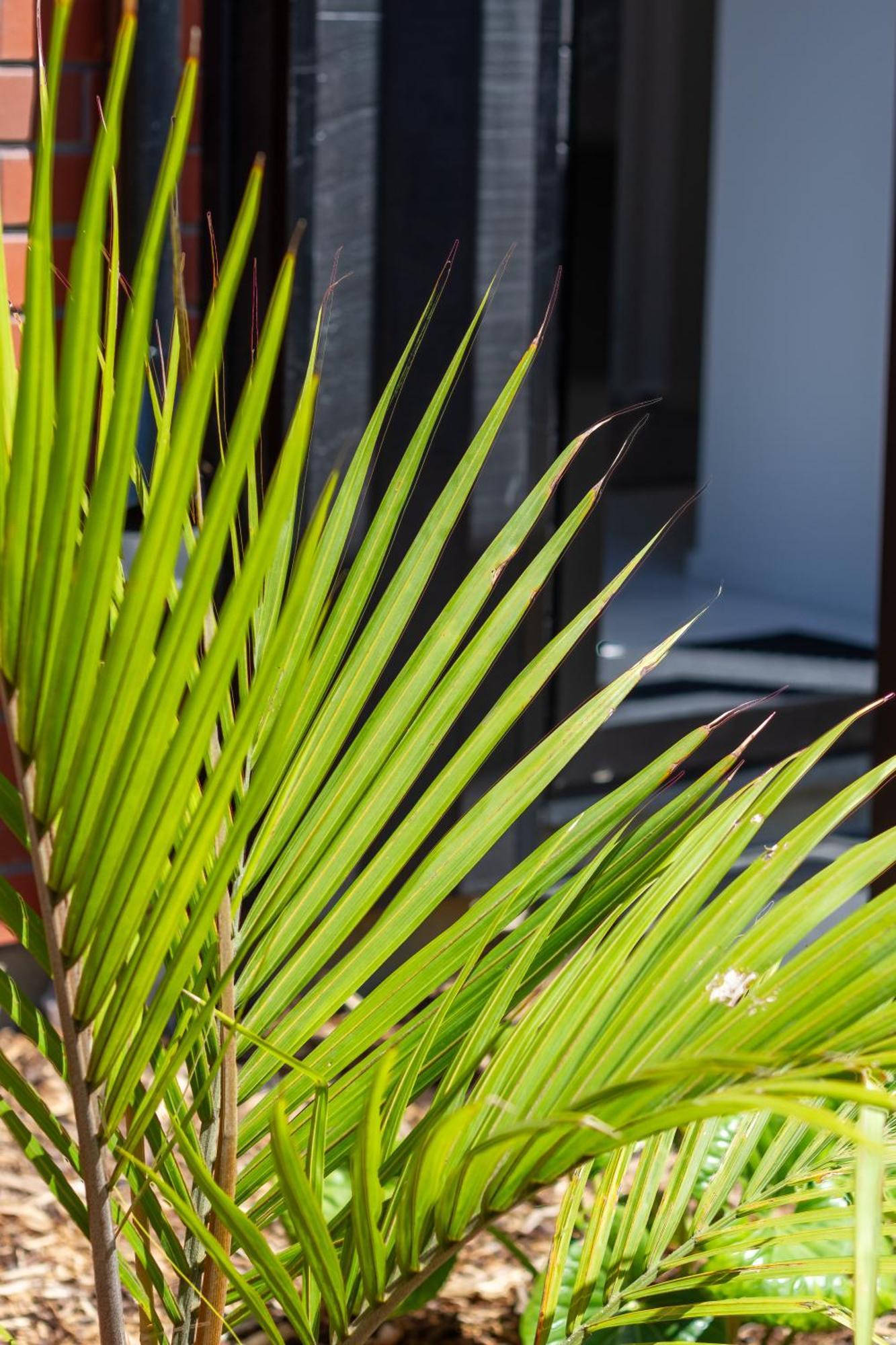 Appartamento Chic 2-Bed Gem: Trust Arena Proximity - West Akl Auckland Esterno foto